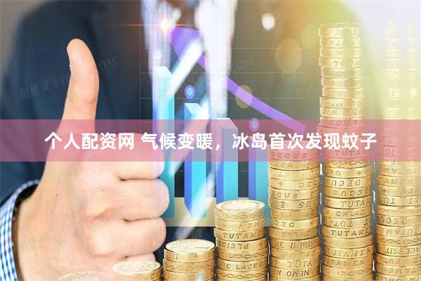 个人配资网 气候变暖，冰岛首次发现蚊子