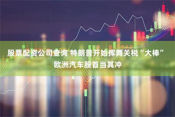 股票配资公司查询 特朗普开始挥舞关税“大棒” 欧洲汽车股首当其冲